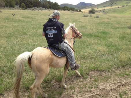 Man on Horseback