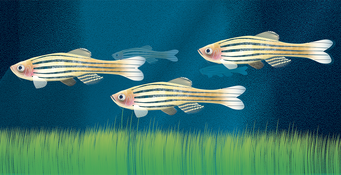 biology medical illustration